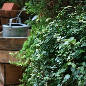 Garden *** Kyōto